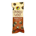 Buc-ee’s Granola Minis - Cinnamon Pecan