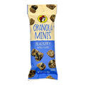 Buc-ee’s Granola Minis - Blueberry