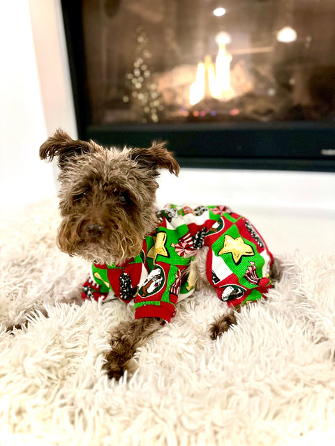 Dog Christmas Themed Onesie