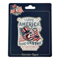 Buc-ee's multi-colored novelty magnet - celebrates 250 years of freedom
