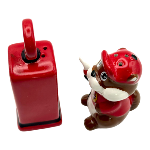 Novelty salt and pepper shakers - ceramic material